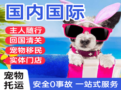 镶黄旗新宝拉格航空快递国际宠物托运 【国
